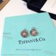 AAA Clone Tiffany 1837 Diamond Earrings - 925 Silver (3)_th.jpg